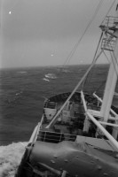 RS.12061 image RS.12061