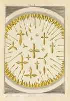 RS.18113 image RS.18113