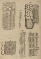 RS.21350 image RS.21350