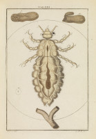 RS.18123 image RS.18123