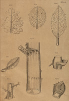 RS.21361 image RS.21361