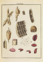 RS.18132 image RS.18132