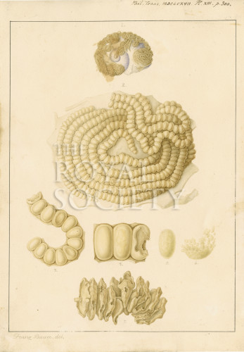 PT_73_6_15 image PT_73_6_15