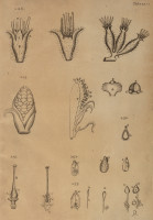image RS.21381