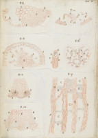 RS.16204 image RS.16204