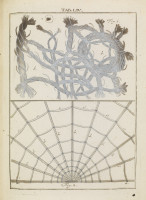 RS.18171 image RS.18171