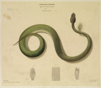 RS.8455 image RS.8455