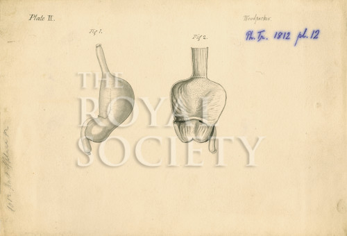 PT_73_3_7 image PT_73_3_7