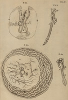 image RS.21401