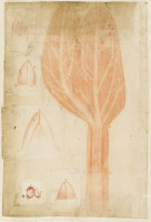 image RS.15746