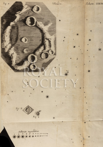 hooke_r_micrographia_360 image hooke_r_micrographia_360