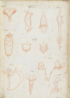 RS.16224 image RS.16224