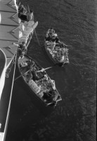 RS.12042 image RS.12042