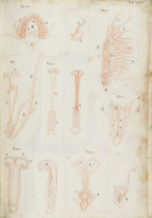 RS.16234 image RS.16234