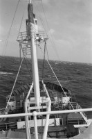 RS.12052 image RS.12052