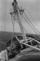 RS.12062 image RS.12062