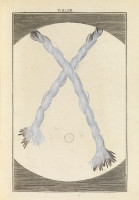 RS.18114 image RS.18114