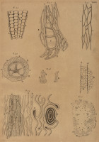 RS.21351 image RS.21351