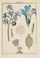 RS.18124 image RS.18124