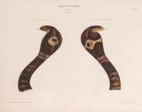 image RS.20856