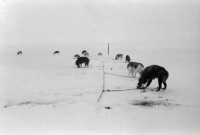 RS.11995 image RS.11995