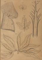 image RS.21362