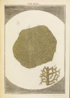 RS.18147 image RS.18147