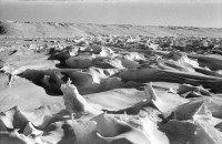 RS.12004 image RS.12004