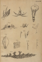 RS.21372 image RS.21372