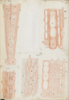 RS.16205 image RS.16205