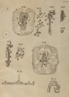 image RS.21402