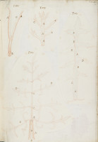 RS.16216 image RS.16216