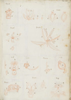 RS.16235 image RS.16235