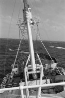 RS.12053 image RS.12053