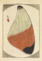 RS.18115 image RS.18115