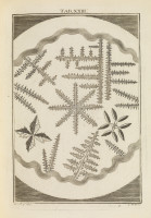 RS.18125 image RS.18125