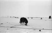 RS.11996 image RS.11996