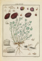 RS.18134 image RS.18134