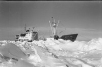 RS.12005 image RS.12005