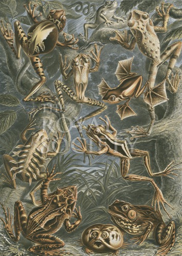 kunstformen_68 image kunstformen_68