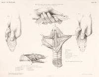 RS.20880 image RS.20880