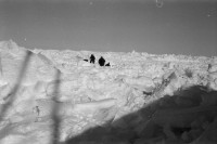 RS.12014 image RS.12014