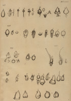 RS.21383 image RS.21383