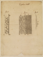 RS.9101 image RS.9101