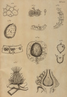 RS.21393 image RS.21393