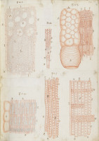 RS.16206 image RS.16206