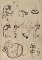 RS.21403 image RS.21403