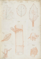 RS.16217 image RS.16217