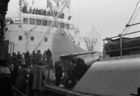 RS.12035 image RS.12035