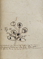 RS.14606 image RS.14606